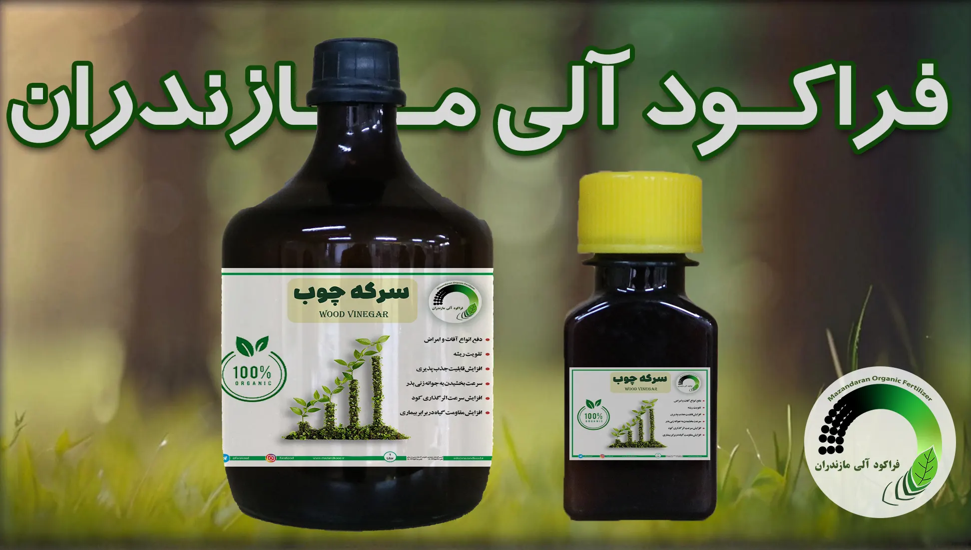 مزایای استفاده از سرکه چوب