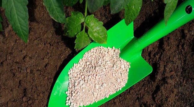 تفاوت کود های آلی و شیمیایی