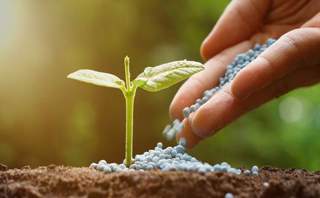 تفاوت کود های آلی و شیمیایی