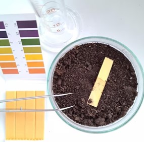 نوارهای سنجش pH (کاغذ لیتموس)