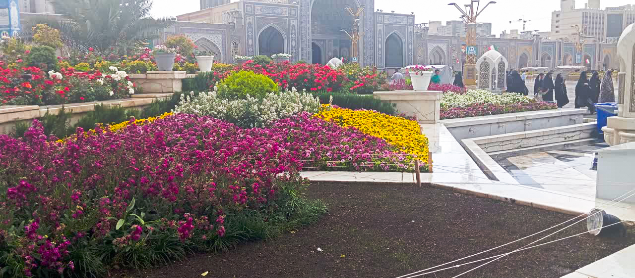عملیات محوطه‌سازی و آماده‌سازی فضای سبز صحن‌های حرم مطهر امام رضا (ع)
