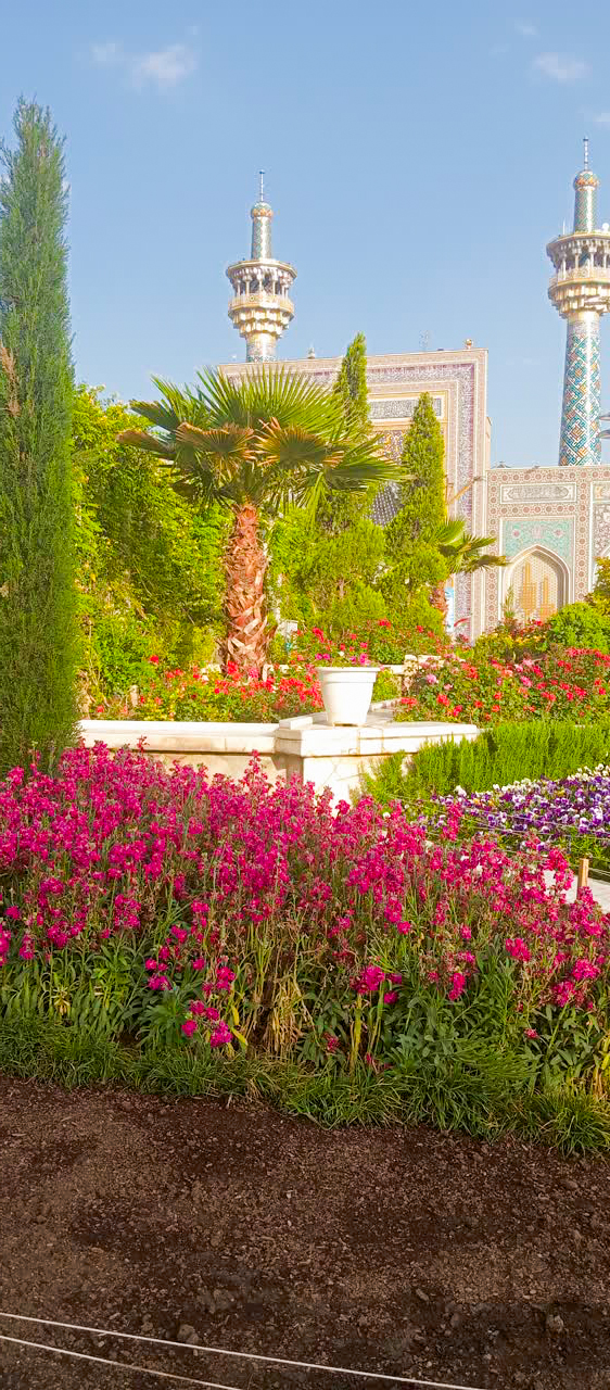 عملیات محوطه‌سازی و آماده‌سازی فضای سبز صحن‌های حرم مطهر امام رضا (ع)
