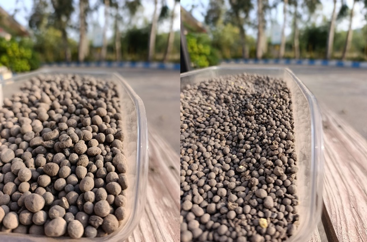 گرانوله گوگردی